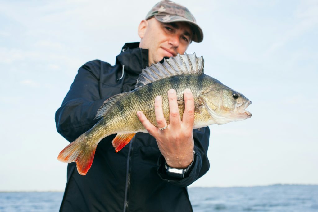 bass fishing