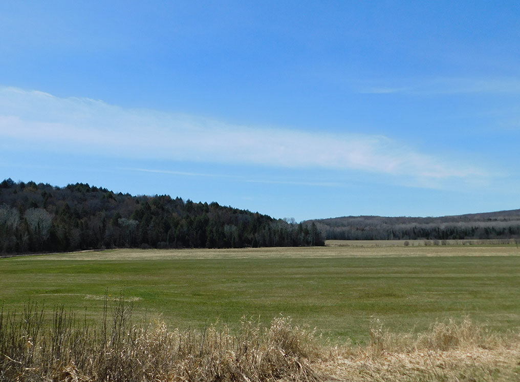 A scenic summer view of Nipissing Township