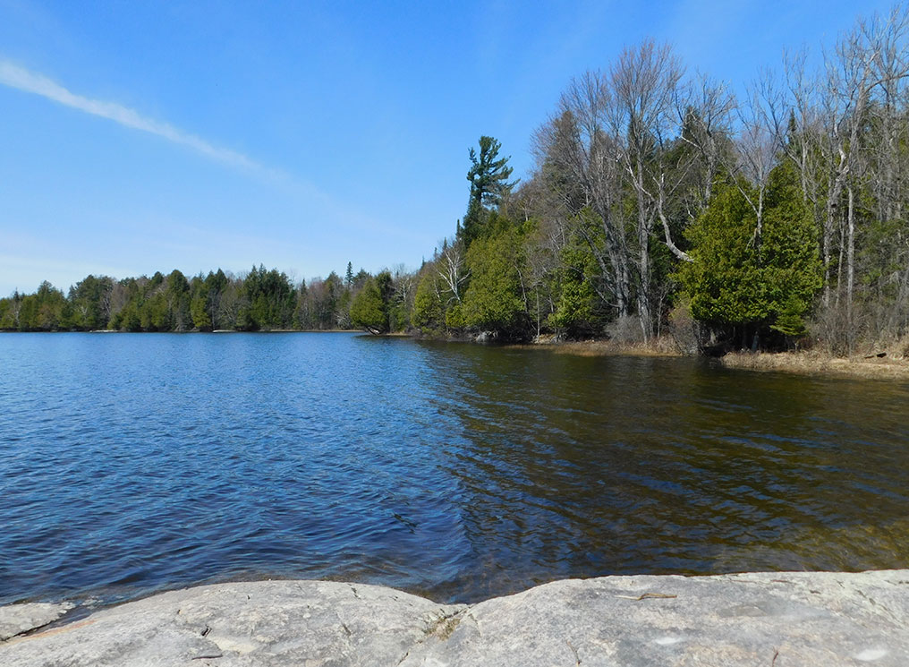 A scenic summer view of Lake Nipissing as seen from the shore.