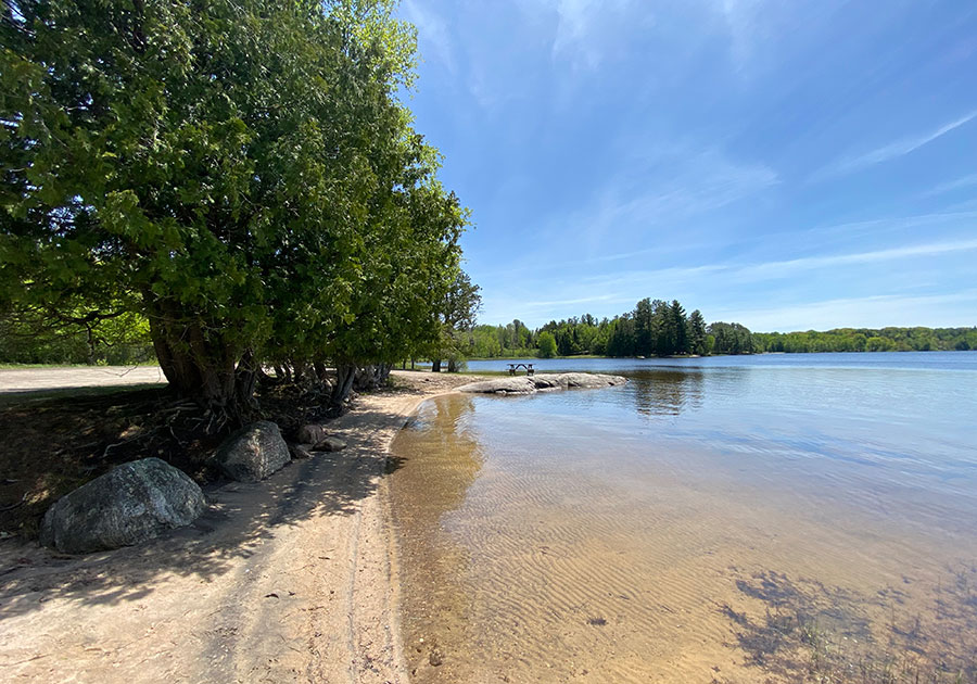 A view of Wolfe Lake Beach with a sandy shoreline, a picnic table, shade, and calm water. One of two beaches in the Township.